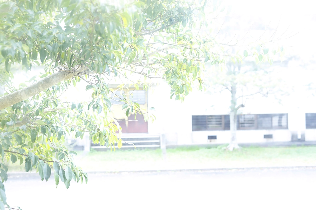 【終了まであと7日！！】オンラインイベントのお知らせとみなも通信vol.22