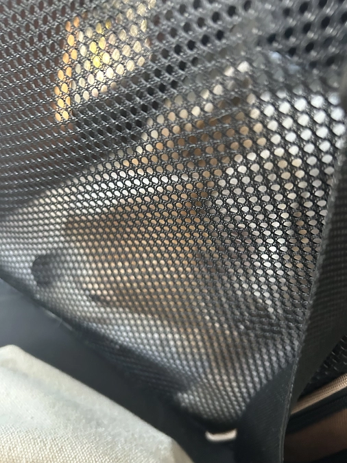 1週間に一度の定期検診