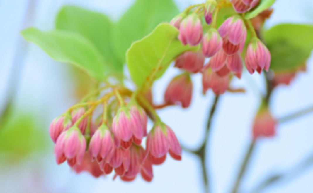 ご支援に感謝いたします！