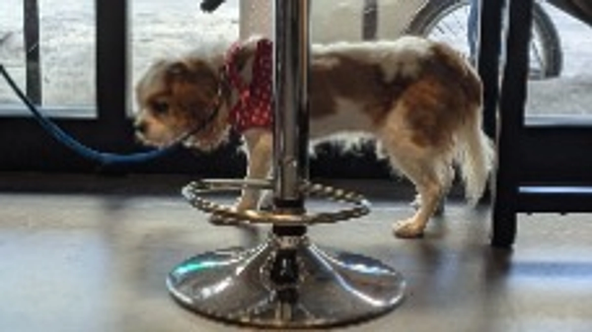 1.5ヶ月検診に行ってきました🏥