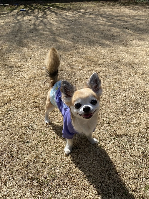 確定申告＆納付完了しました☺️