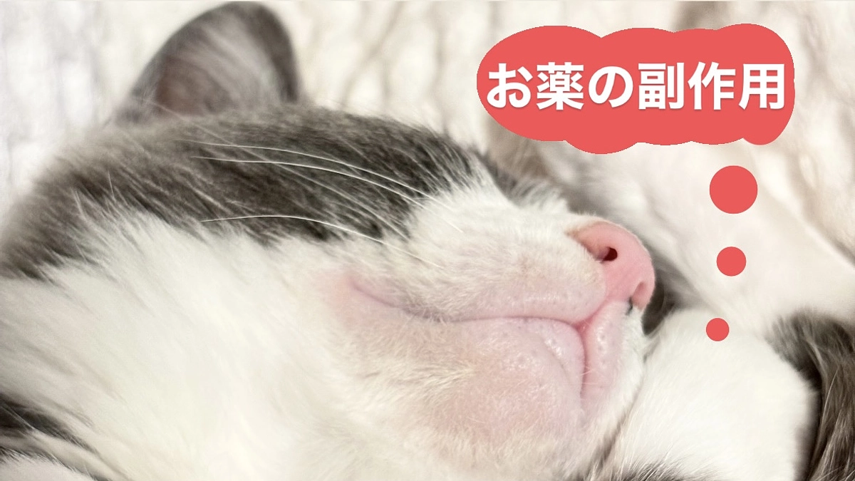 💊𓂃副作用で顎の毛と、お髭が抜けてしまってもお市は頑張ってます！お市の救う為お力をお貸し下さい。