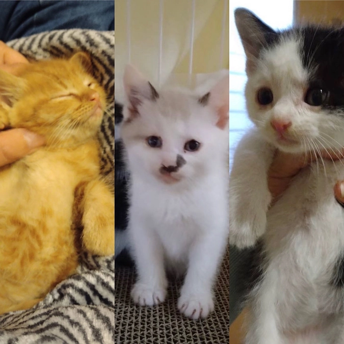 まだまだ続きます！