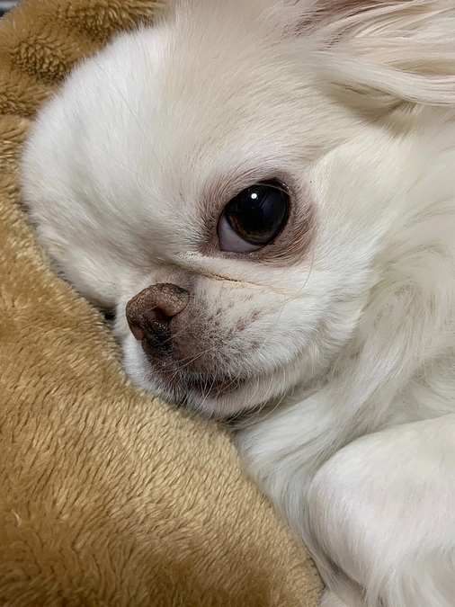 クラウドファンディング本日からスタートしました！