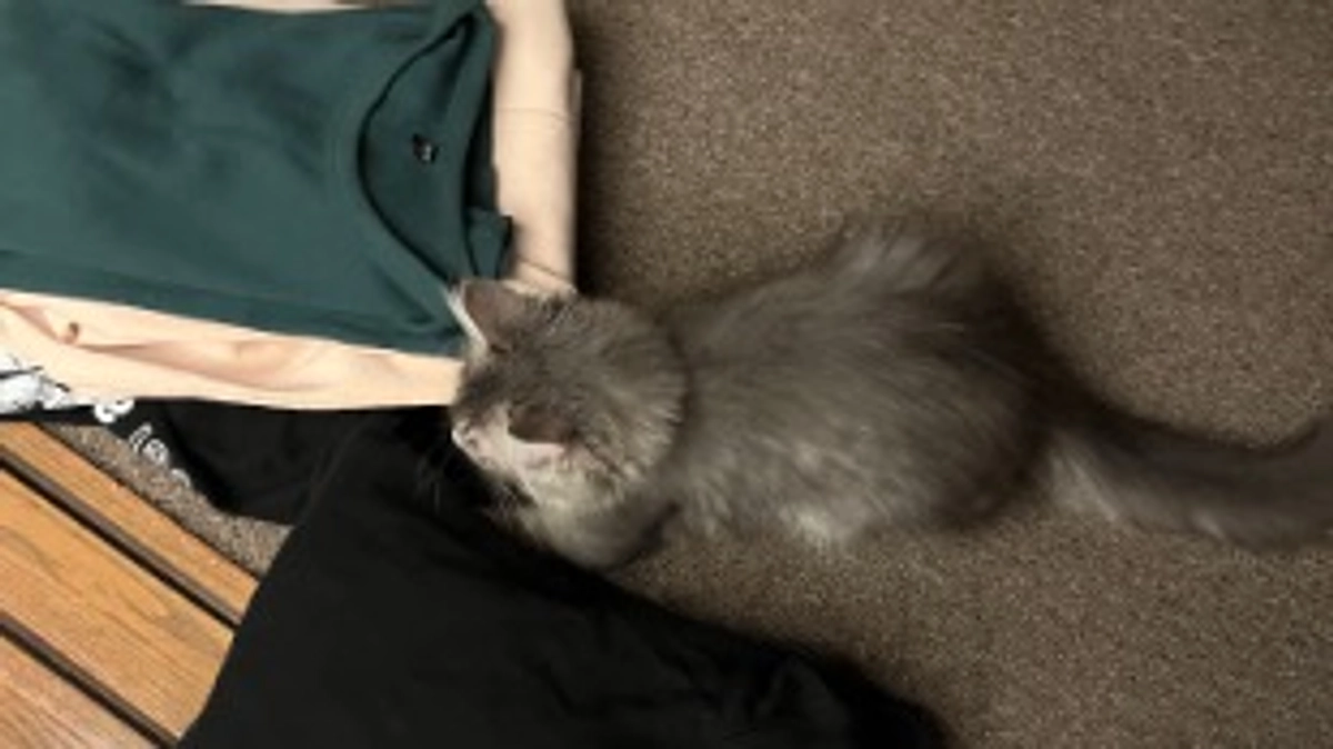 投薬44日目　綺麗な洗濯物