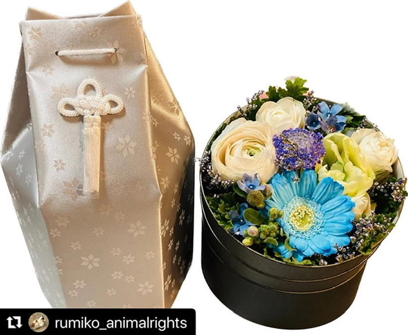 保護時余命3ヶ月の大吉くん虹の橋へ