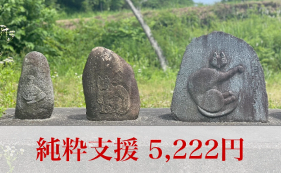 純粋支援コース｜5,222円