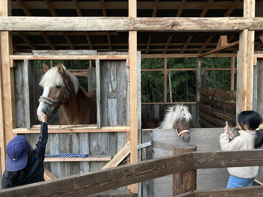 ミルキーちゃん＆アキオくん、ようこそ裏山へ🎵