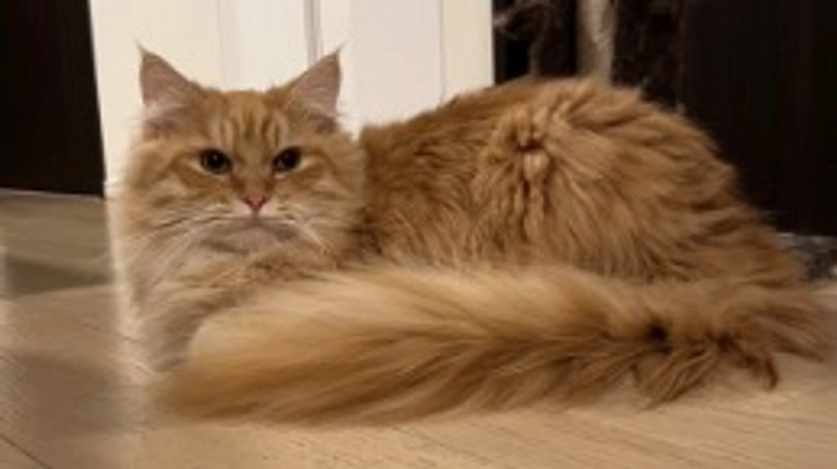 投薬開始から約3ヶ月が経過