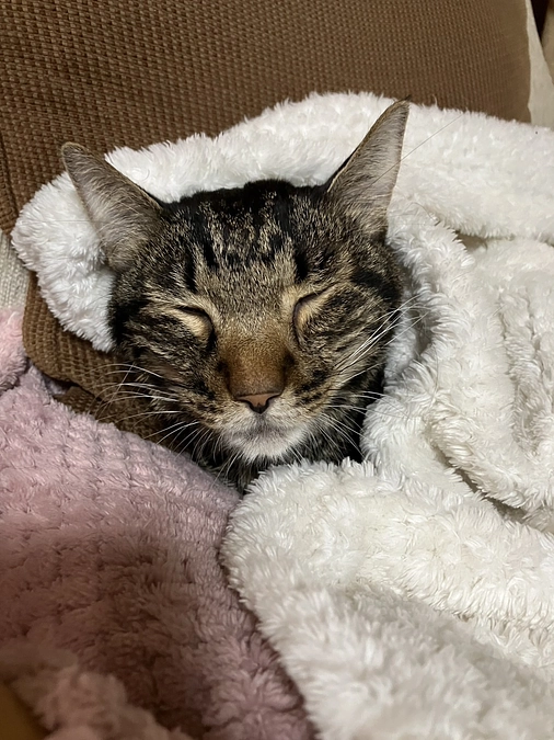 2回目の抗がん剤治療のご報告