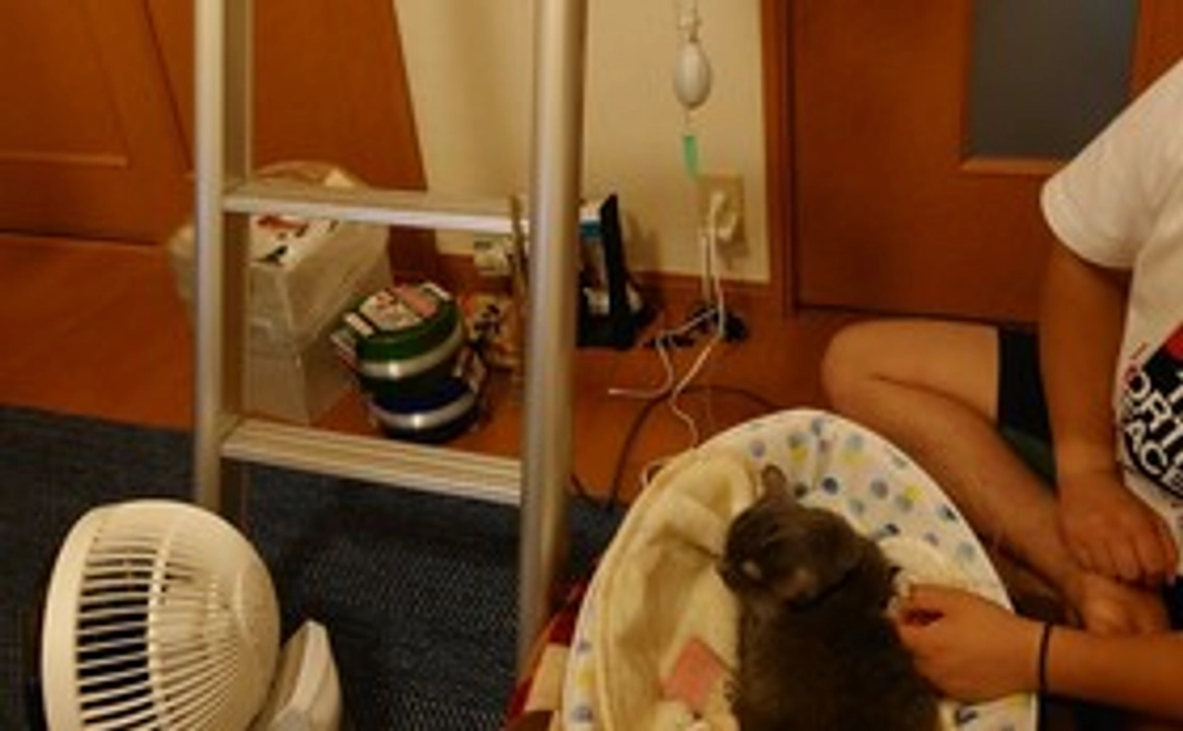 点滴注射もお利口にしてます。