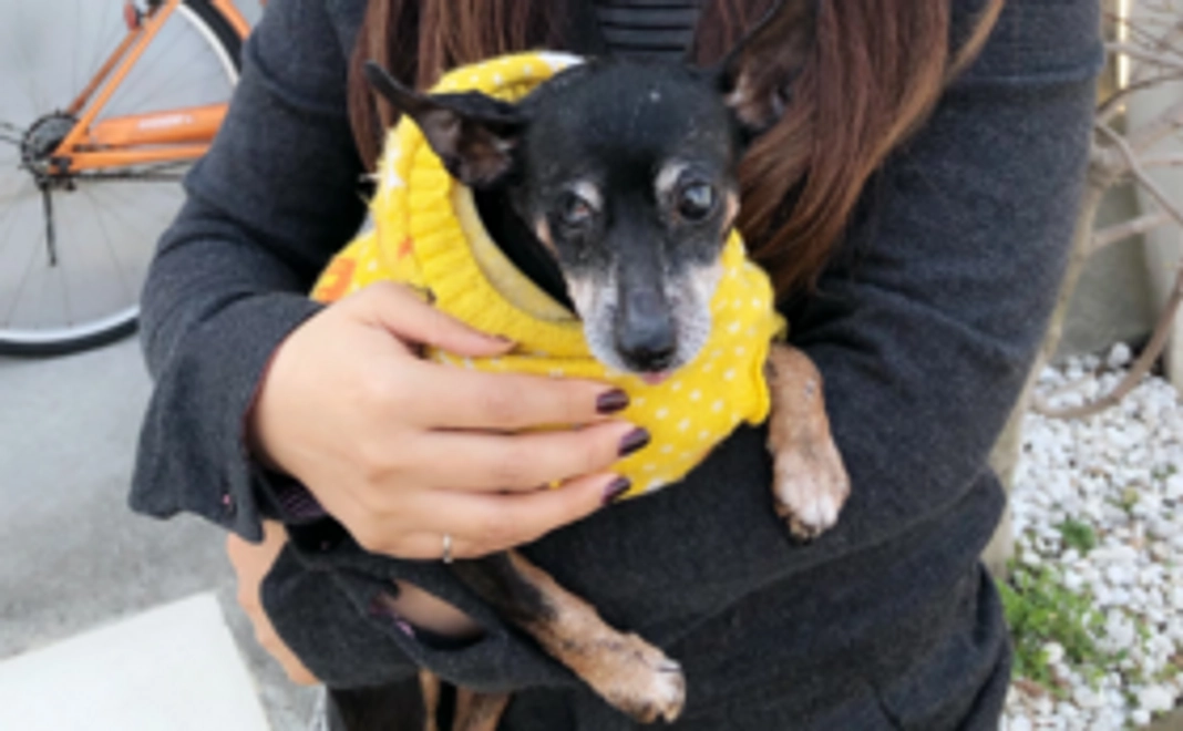 【ご支援、心より感謝いたします！】感謝のメッセージ／ラブたちの画像