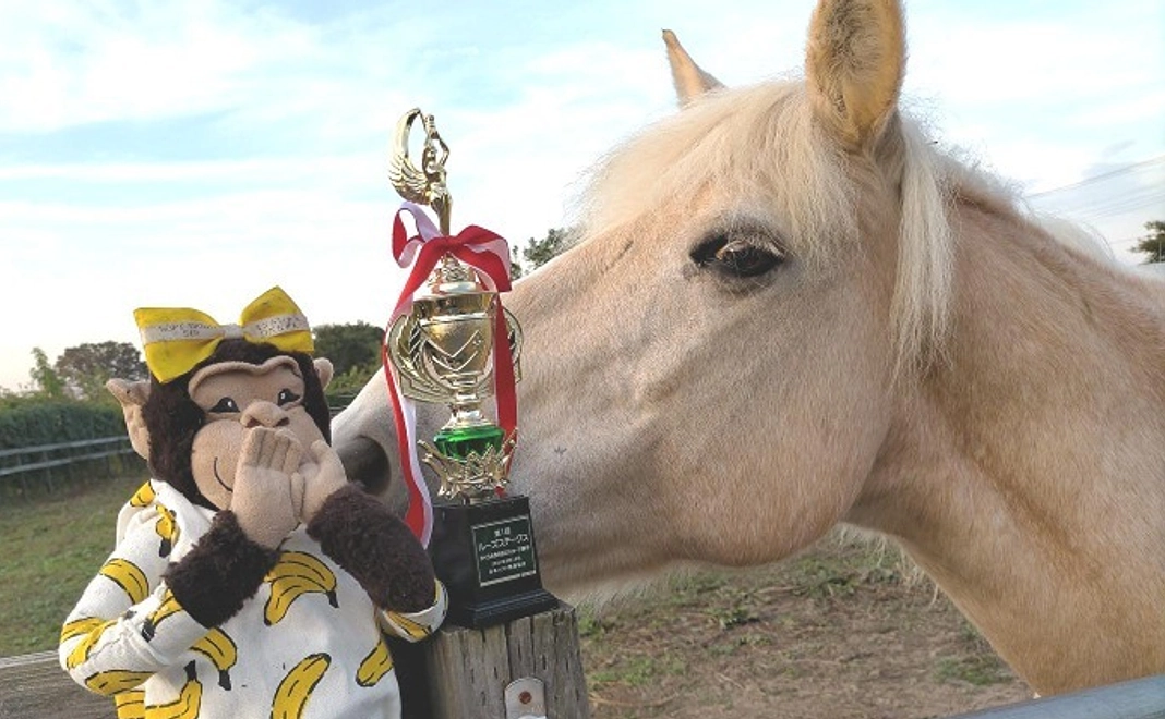 【リターン不要の方向け】全力応援コース｜3千円