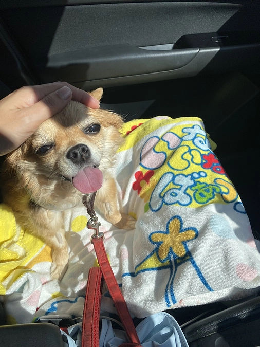 術後5日目、退院しました！！