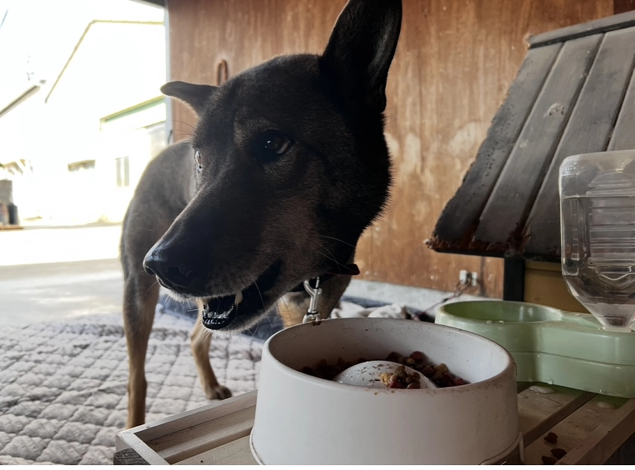 食欲が戻ってきました！