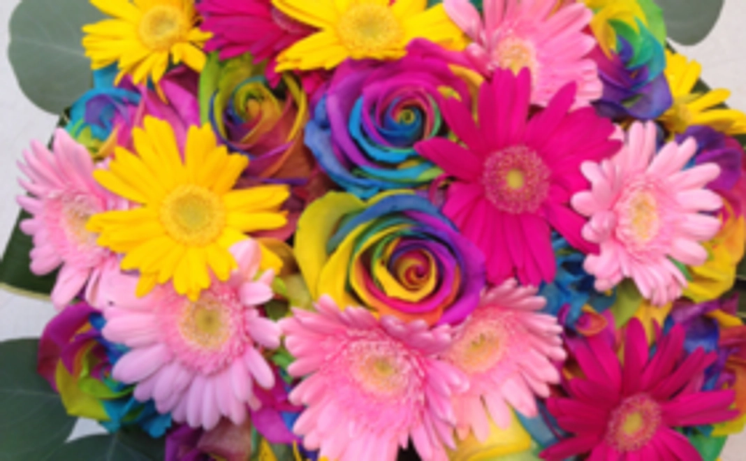 【リターン不要】全力応援コースA