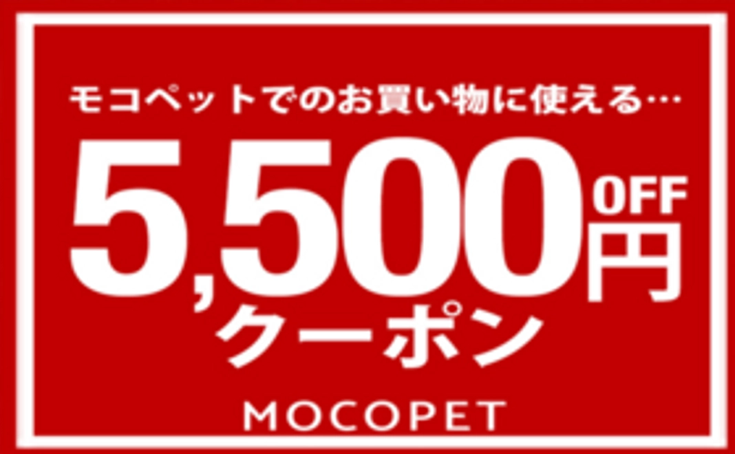 【モコペットユーザー向け】モコペットで使えるお得な5,500円クーポン