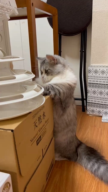 リターンメールについて