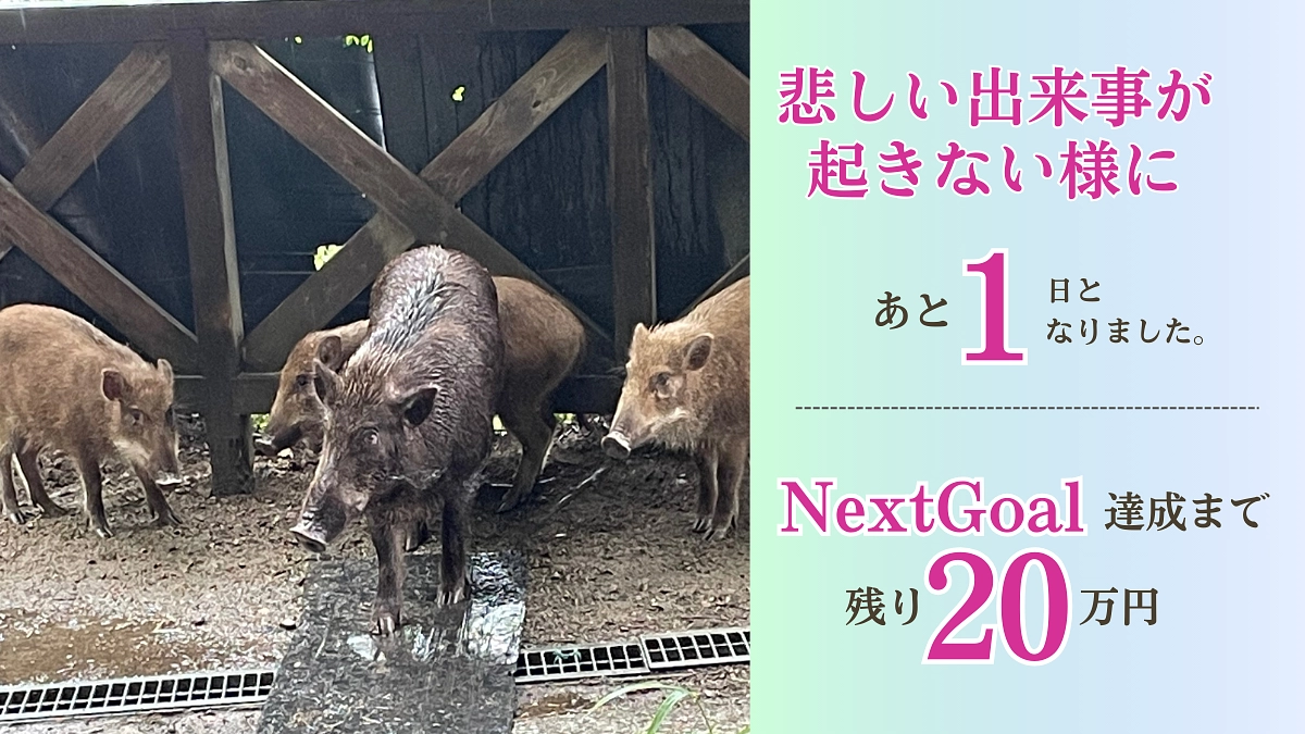 悲しい出来事が起こらなければ良いけれど・・・【残り１日】