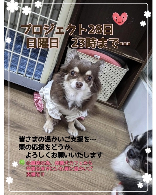 残り9時間。 栗　緊急で病院に来ております‼︎