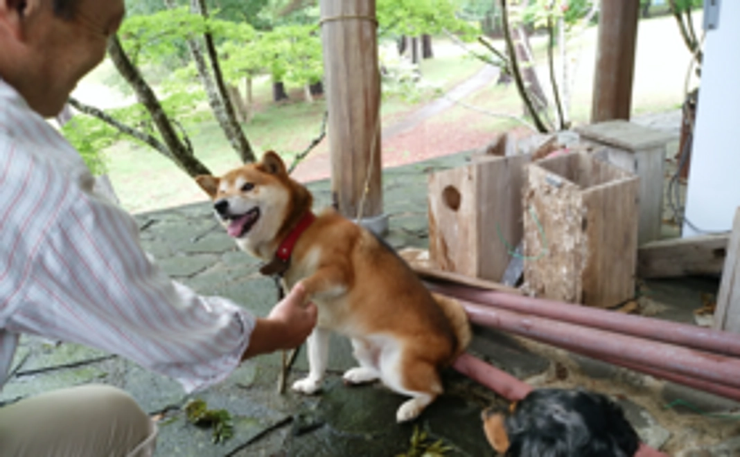 プロジェクト成功祈願コース