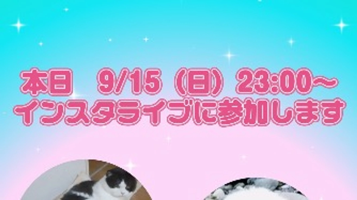 本日インスタライブに参加します