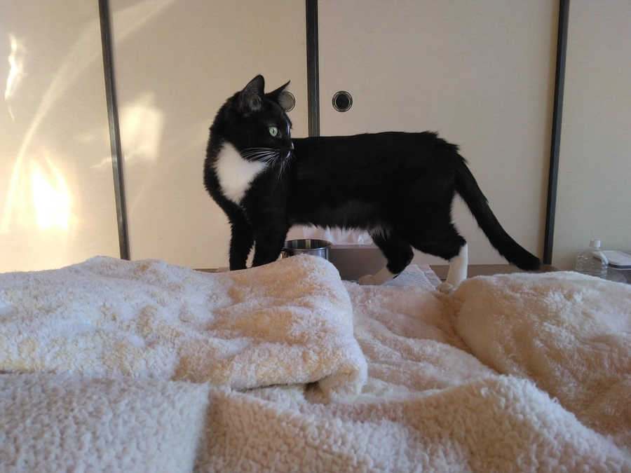 2/26はなちゃんの様子