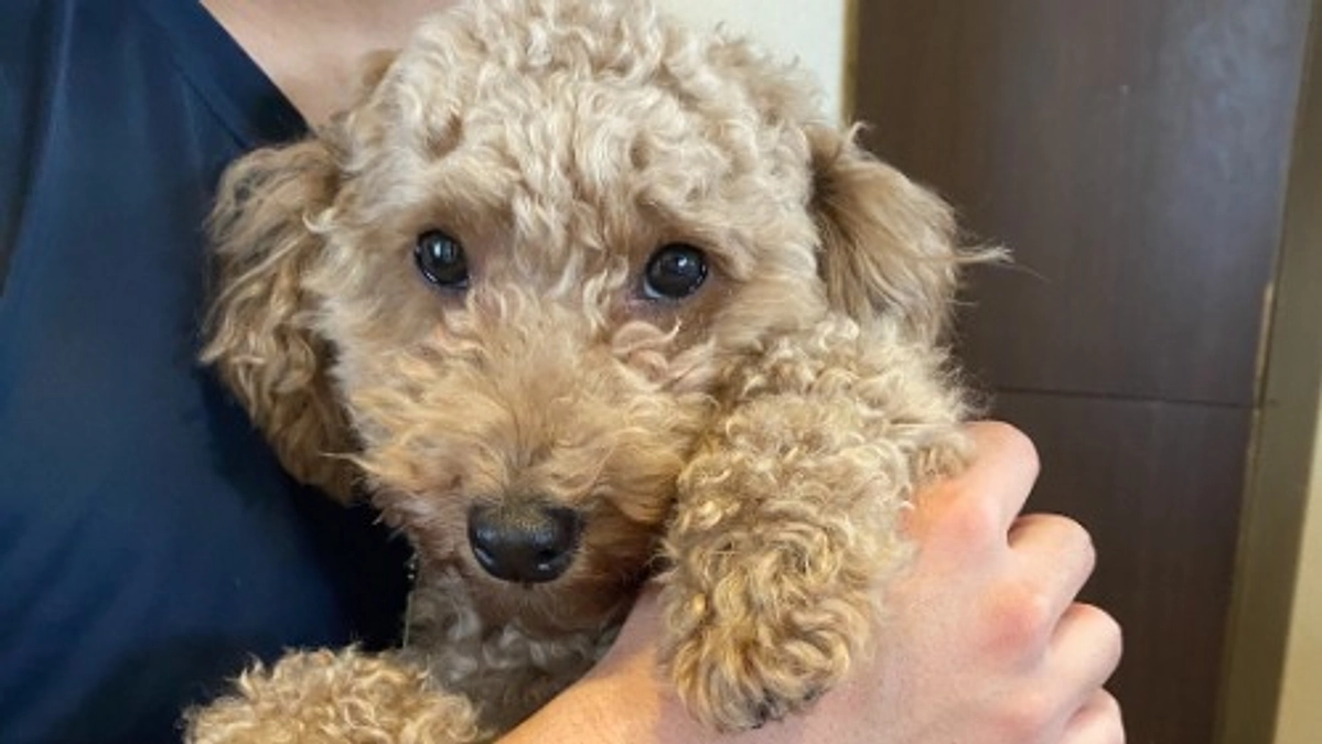 クルの近況報告　10月