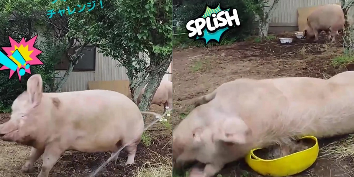 そら＆風太　ウォーターチャレンジ！