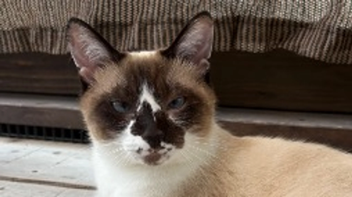 目標達成まで頑張り続けます。