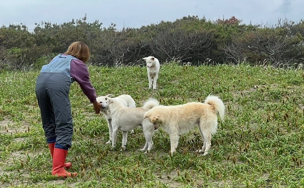 毎月10,000円｜応援コース