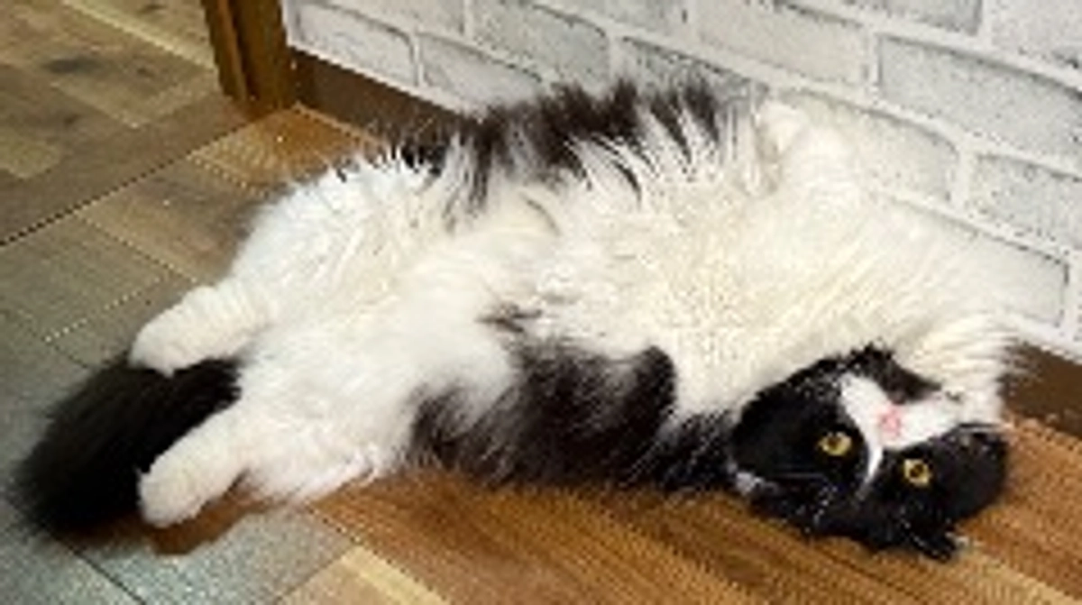 プロジェクト終了まで3時間を切りました