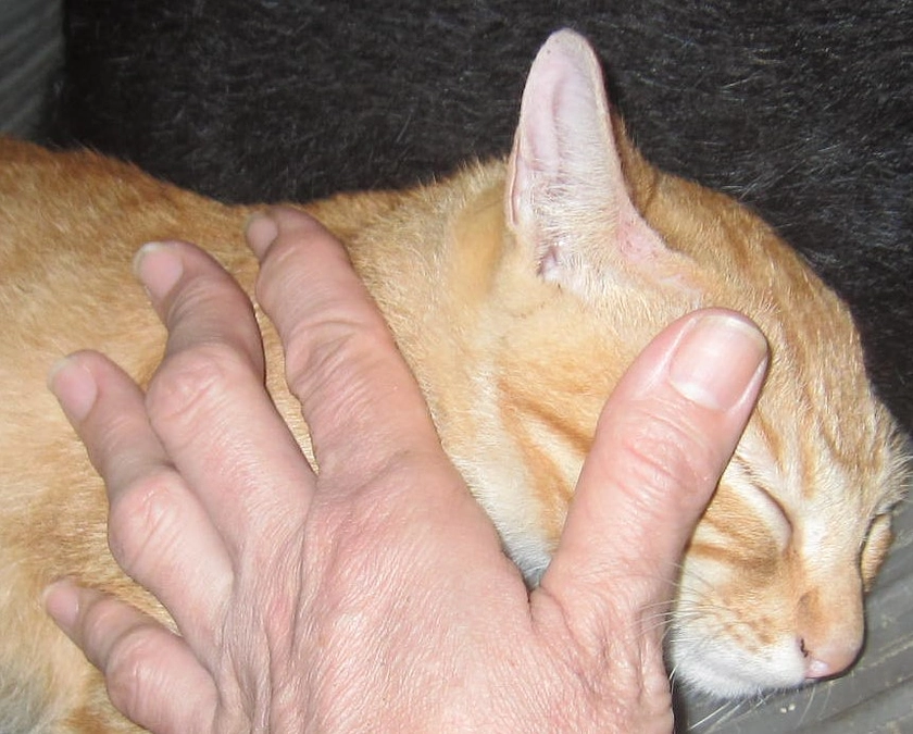 真夏の出来事（注／一部センシティブ写真有り）