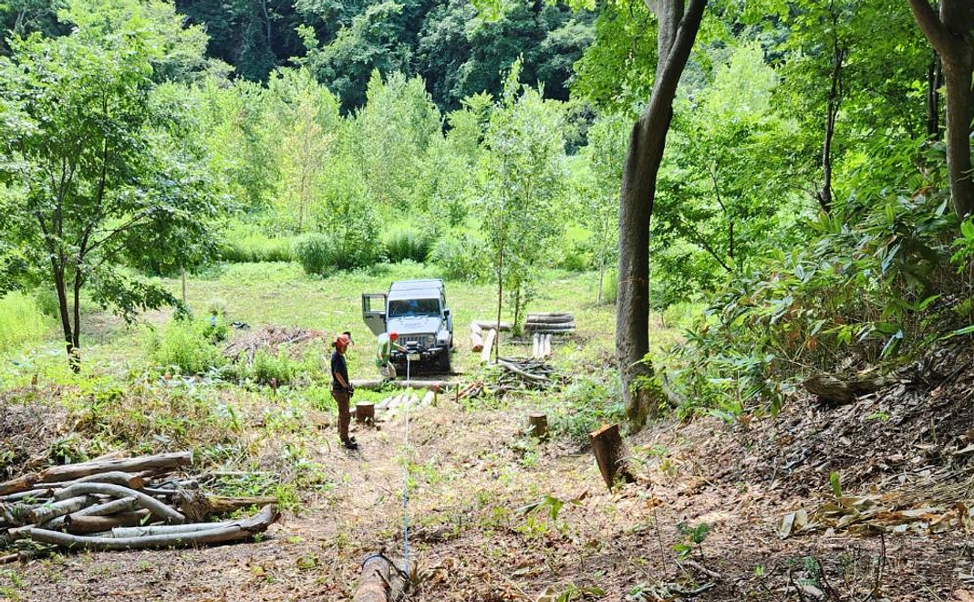 《毎月3,000円コース》MAPLE サポーター