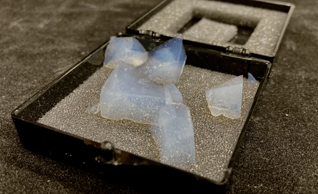 【Vol.4】メンバーからのメッセージ〜鵜沢信吾