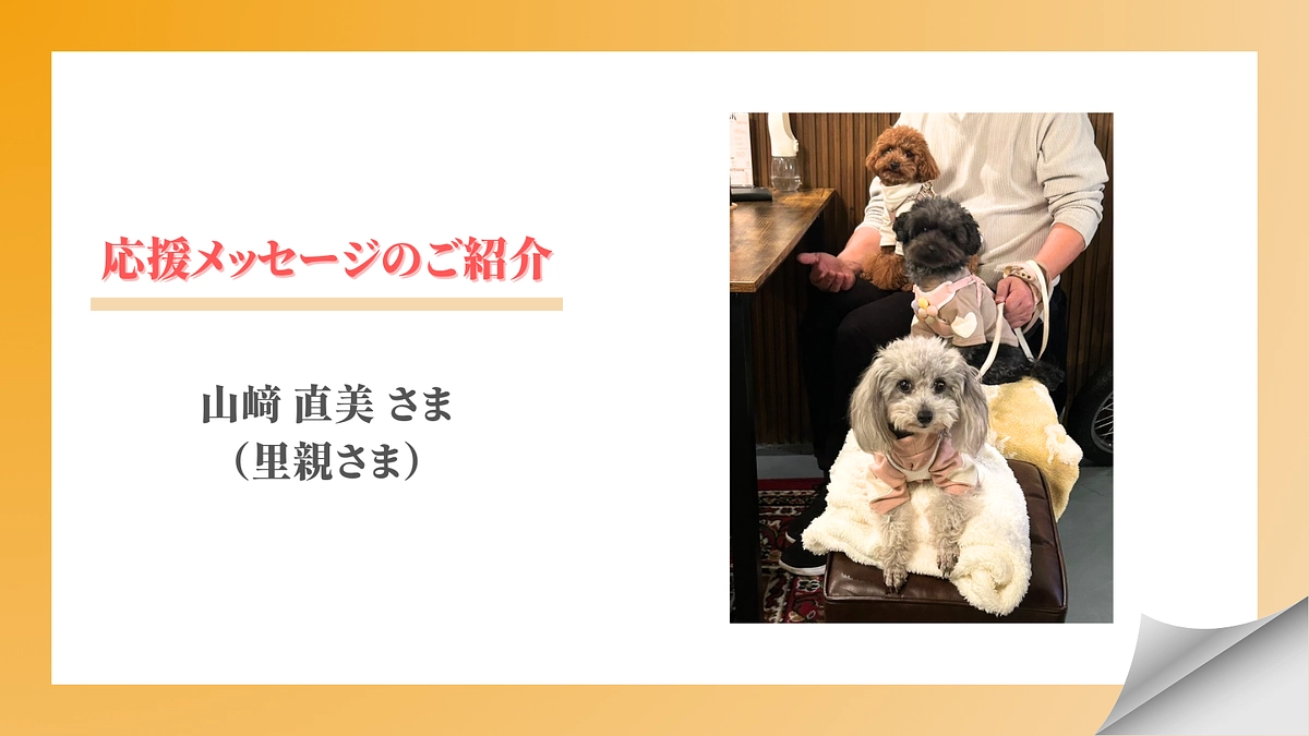 【メッセージリレー#12】山﨑 直美さま（里親様）