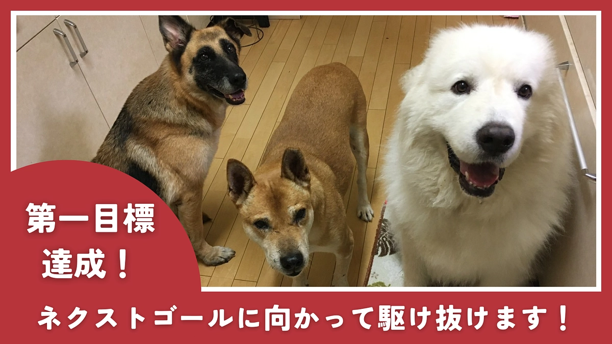 【ご支援ありがとうございます！】第一目標達成への感謝と、ネクストゴール挑戦への想い