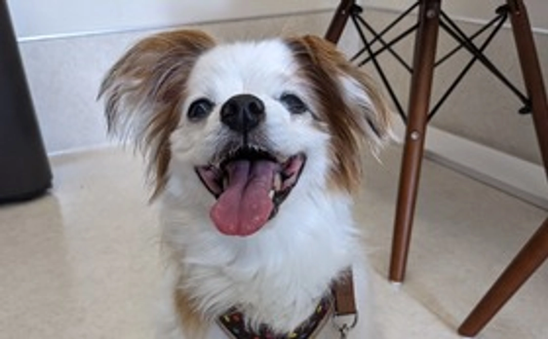 マリンのためにありがとうございます。