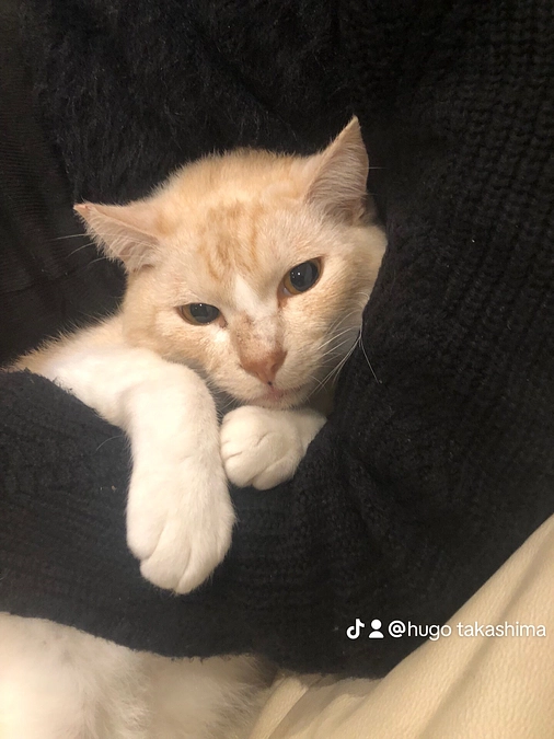 投稿遅れましたすみません