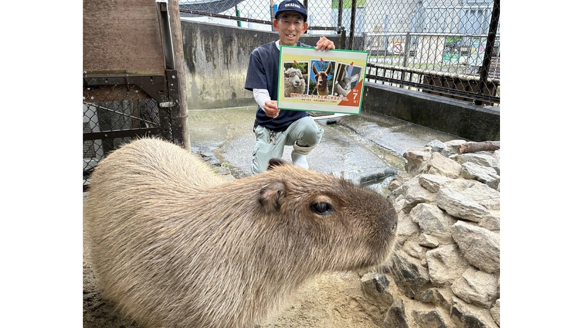 【活動報告54】プロジェクト終了まであと７日！！カウントダウンで繋ぐ熱い思い（小動物担当まーくん）