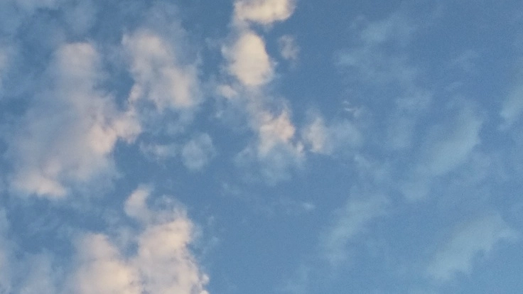 高齢者が気軽に外出できて安心して留守番を頼めるサービスを！！   