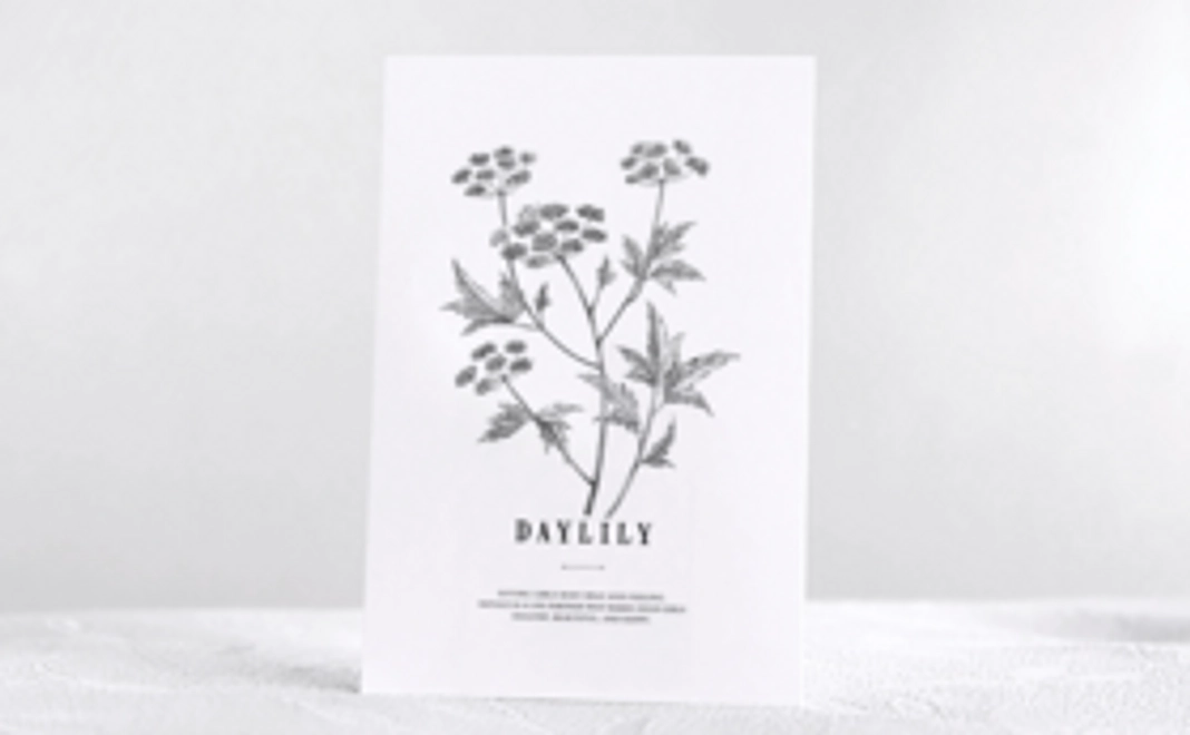 DAYLILYボタニカルポストカード