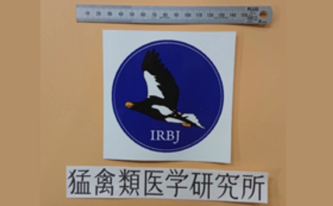 IRBJ限定ステッカー2枚　オオワシロゴマーク（大型バージョン）＆オリジナル字体ステッカー