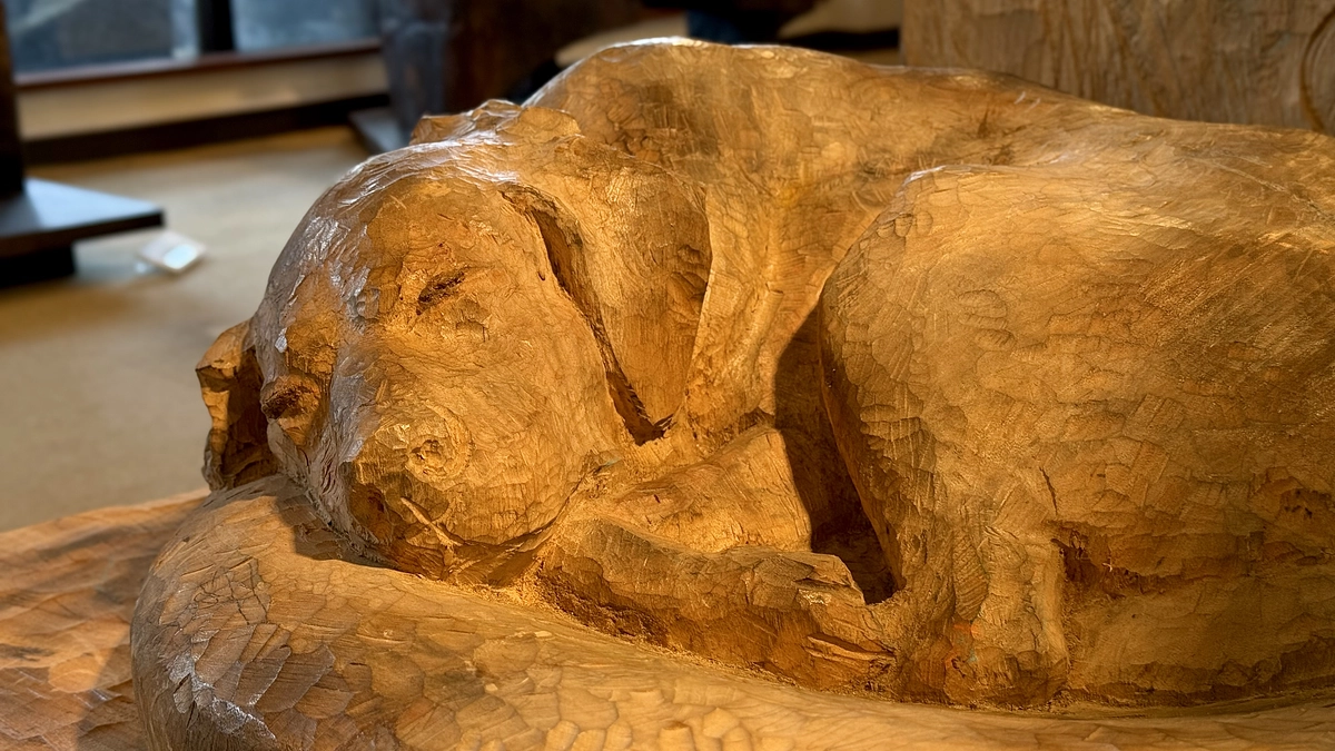 応援メッセージ：木彫家 桒山賀行先生より