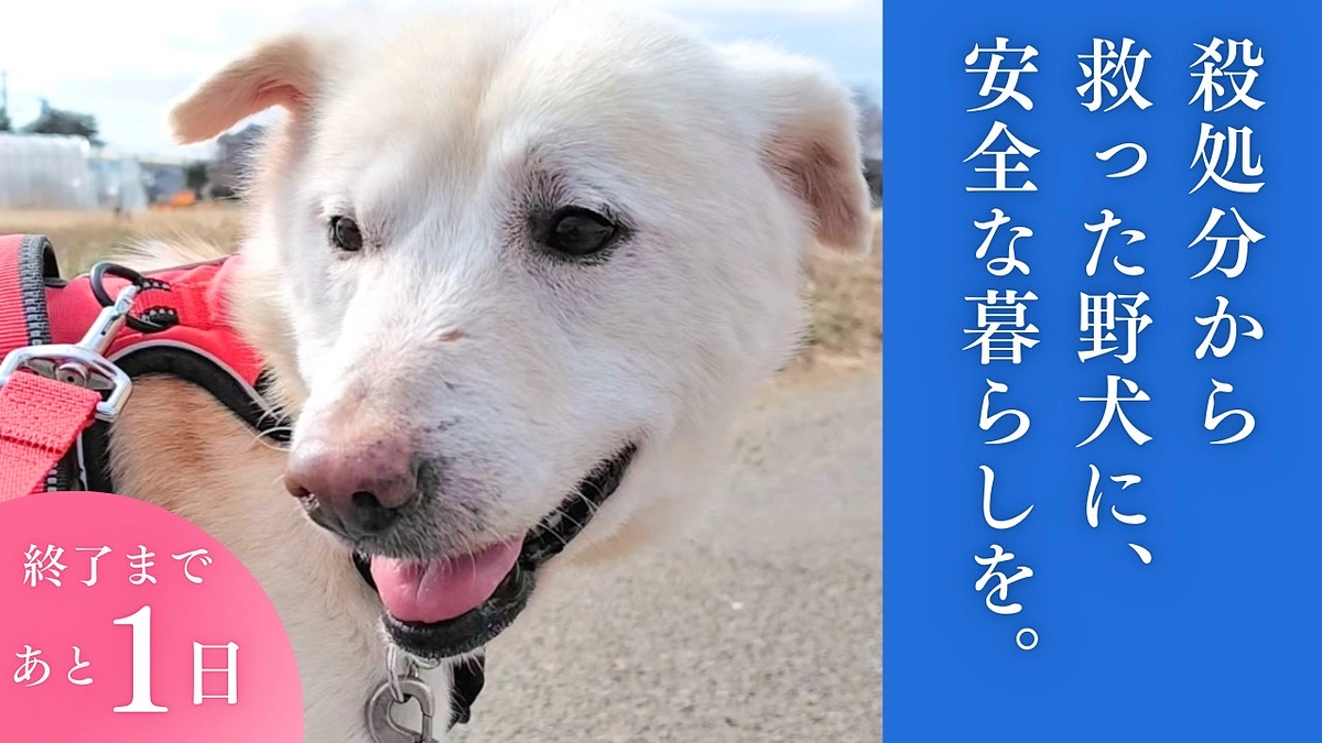 里親さまからのメッセージ　健太郎のご家族より