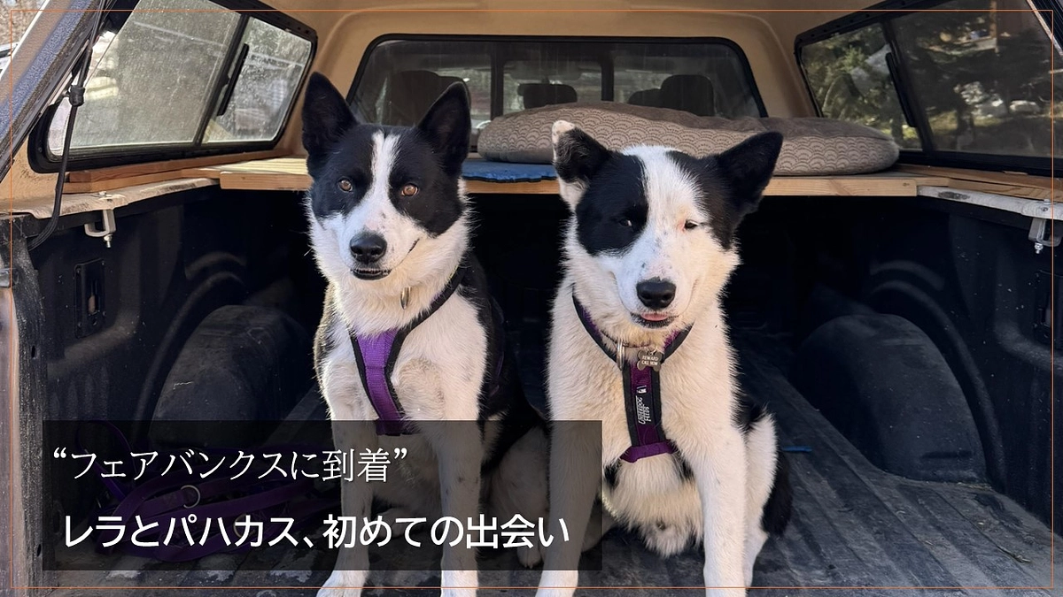 ”フェアバンクスに到着”　レラとパハカス、初めての出会い