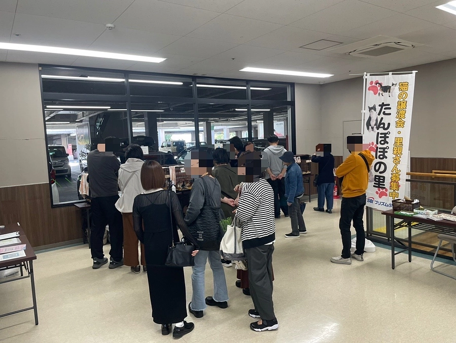 本日たんぽぽの里では3頭の猫達にご縁がありました。