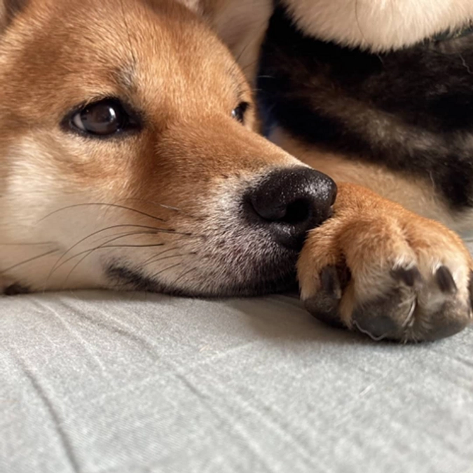 メンバー紹介②