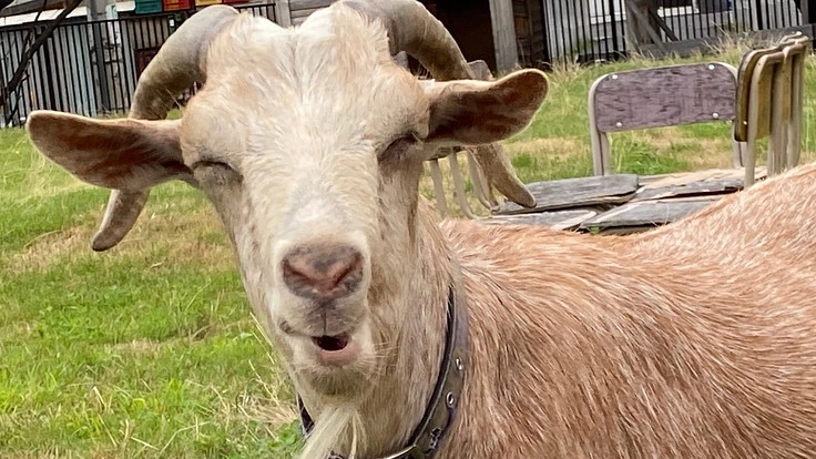 アトリ基金でつなげよう　〜自然と人と学びとこころ〜