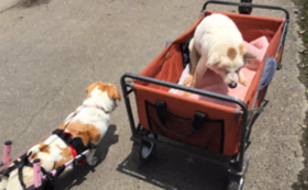 あたたかい応援を心から感謝いたします